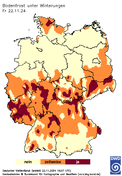 Bodenfrost unter Winterungen, Vorhersage heute